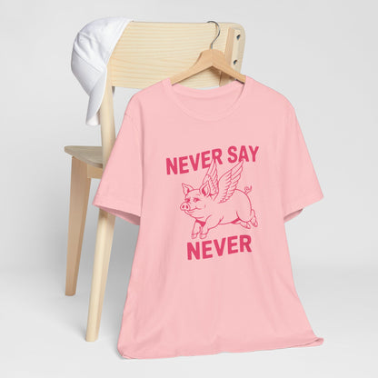 When Pigs Fly Idiom Tee Shirt