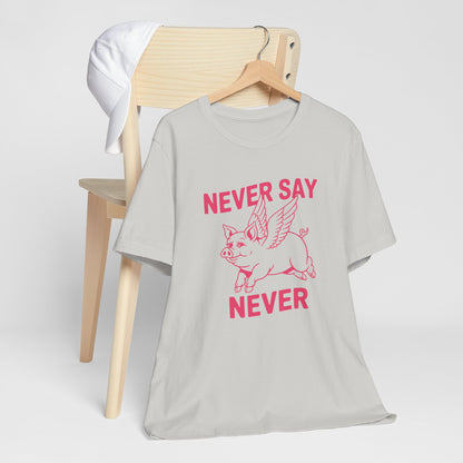 When Pigs Fly Idiom Tee Shirt