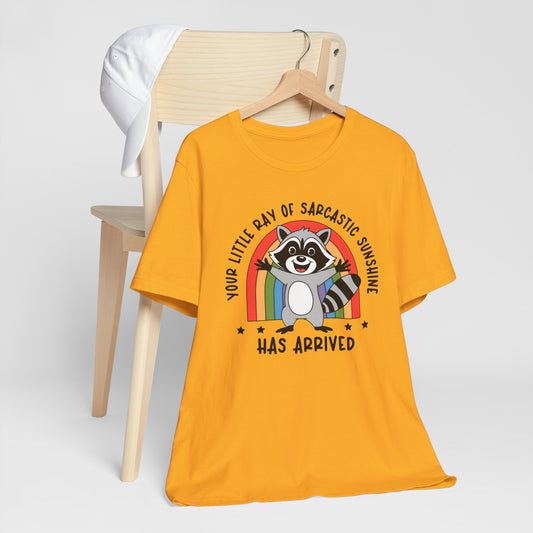 Ray of Sarcastic Sunshine Retro Sunset Raccoon T-Shirt