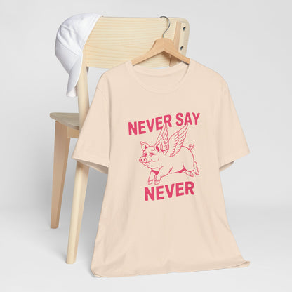 When Pigs Fly Idiom Tee Shirt